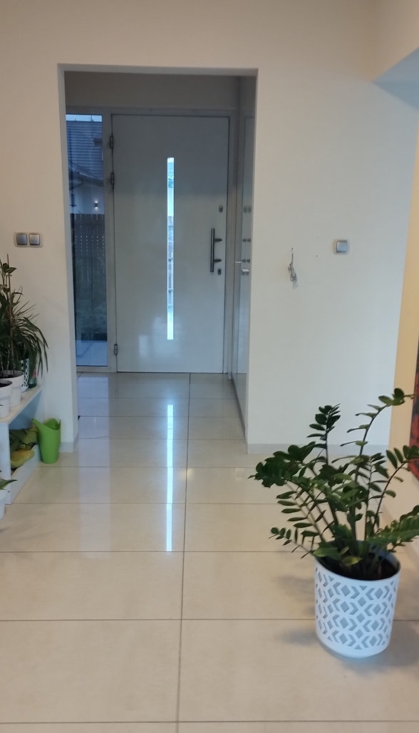 Dom na wynajem, Pruszkowski Michałowice Opacz Mała, ul. Tadeusza Borowskiego 97715216